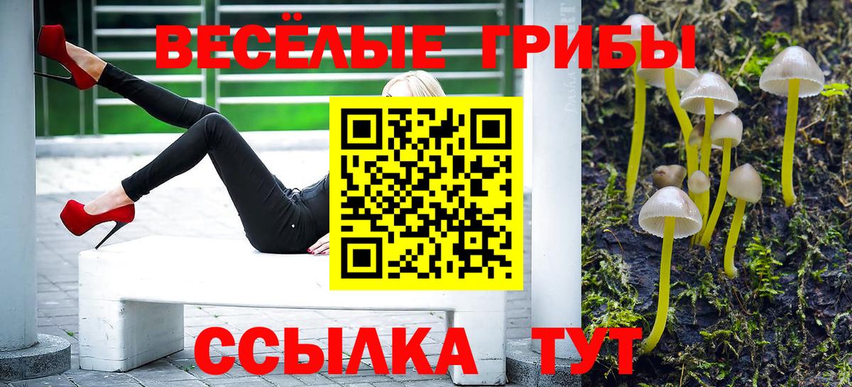 Псилоцибиновые грибы MAGIC MUSHROOMS Великий Новгород