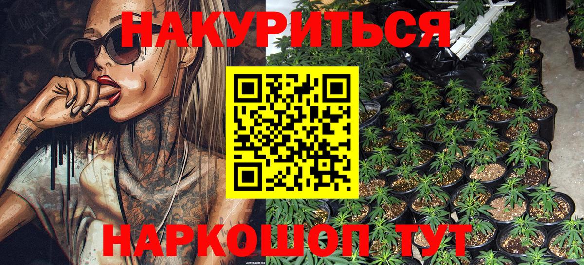Марихуана план  Бошки марихуана сатива  Бошки Шишки ГИДРОПОН  Вход с VPN  Канабис OG Kush  Великий Новгород 
